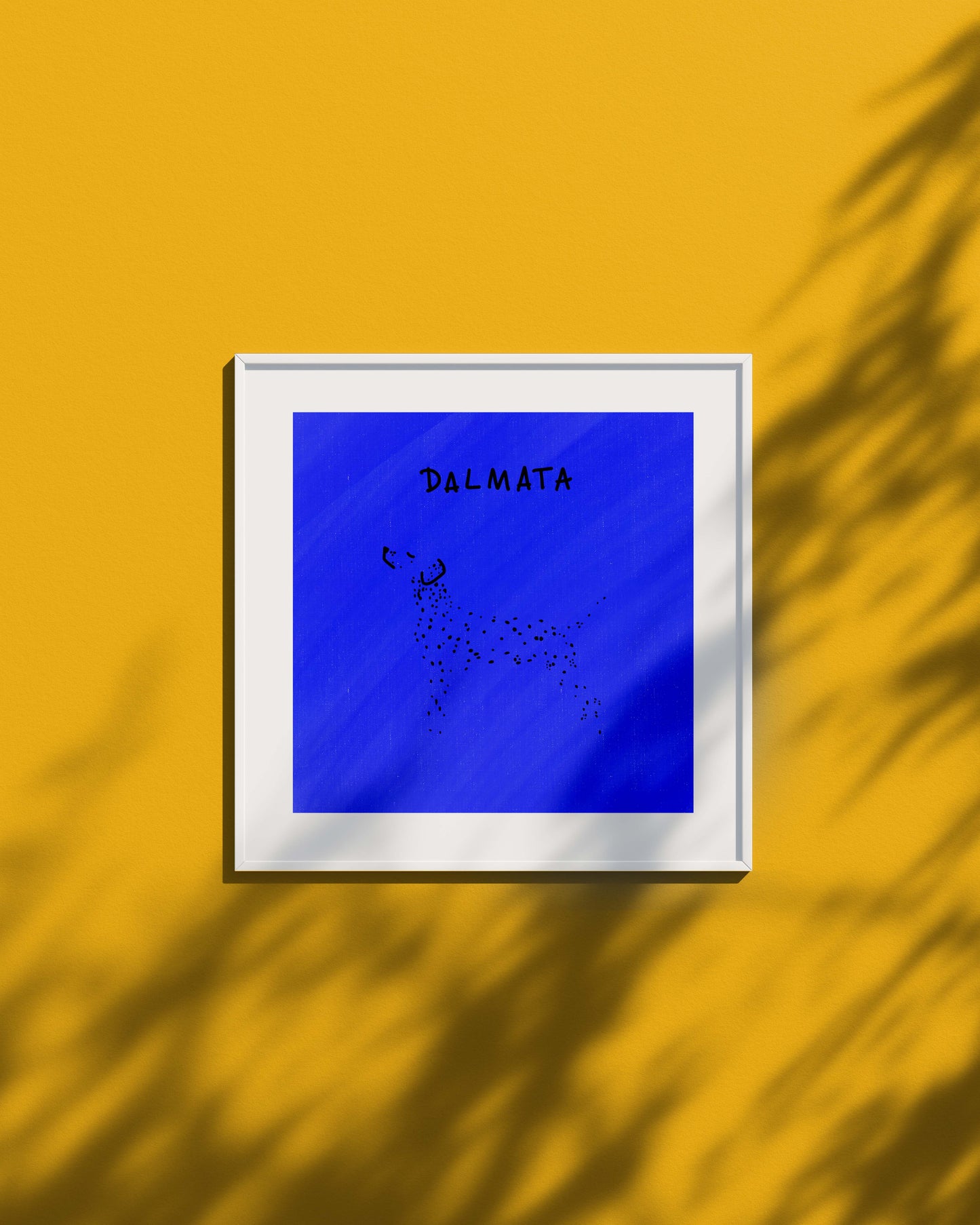 Dalmata